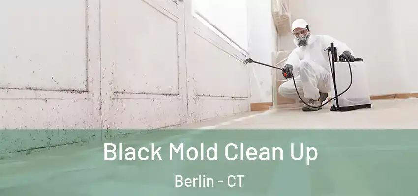  Black Mold Clean Up Berlin - CT