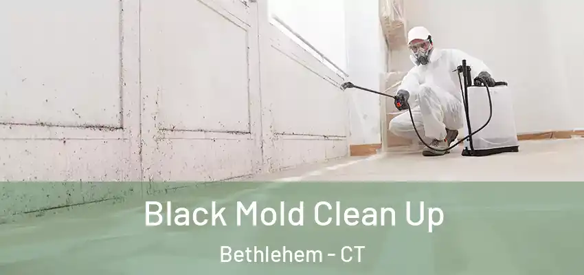  Black Mold Clean Up Bethlehem - CT