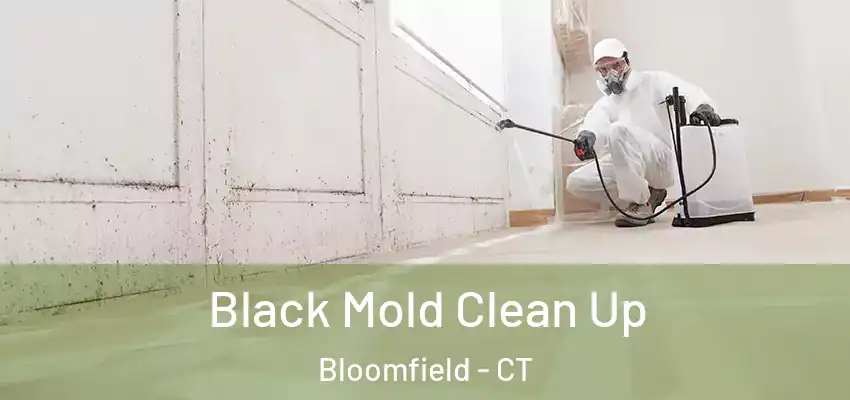  Black Mold Clean Up Bloomfield - CT