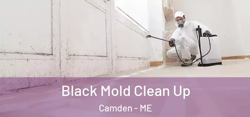  Black Mold Clean Up Camden - ME