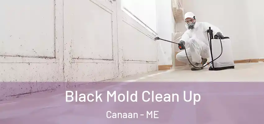  Black Mold Clean Up Canaan - ME