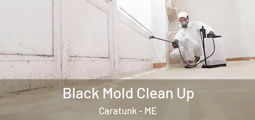 Black Mold Clean Up Caratunk - ME