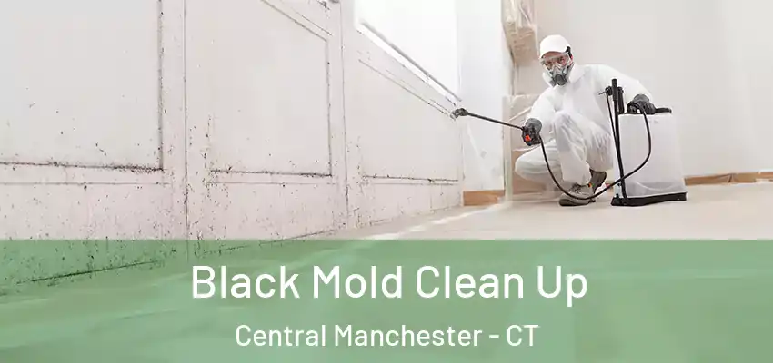  Black Mold Clean Up Central Manchester - CT