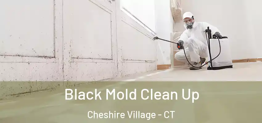 Black Mold Clean Up Cheshire Village - CT