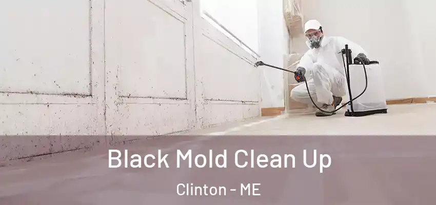 Black Mold Clean Up Clinton - ME