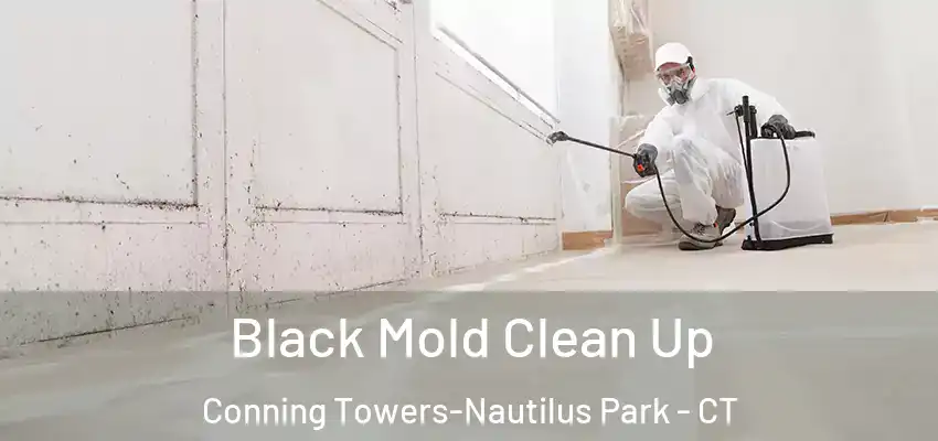 Black Mold Clean Up Conning Towers-Nautilus Park - CT