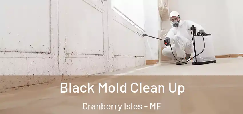  Black Mold Clean Up Cranberry Isles - ME