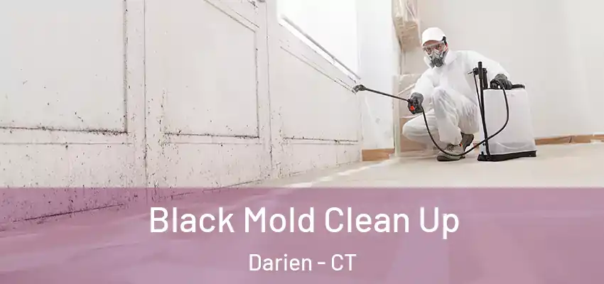  Black Mold Clean Up Darien - CT