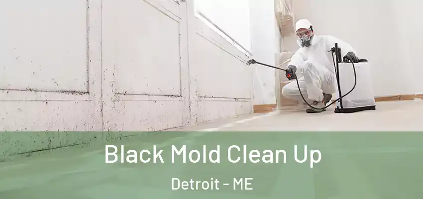 Black Mold Clean Up Detroit - ME