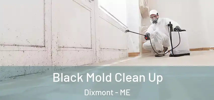  Black Mold Clean Up Dixmont - ME