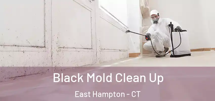 Black Mold Clean Up East Hampton - CT