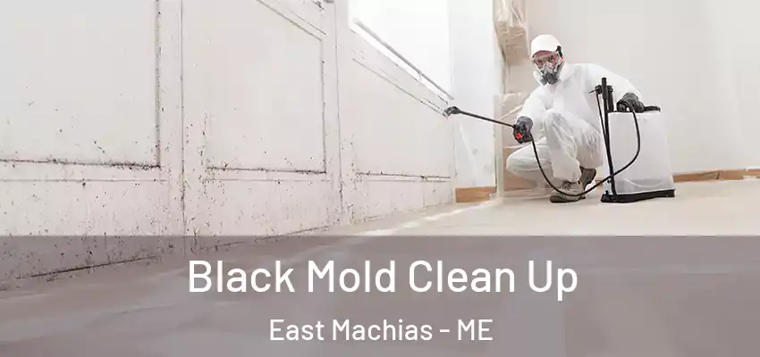  Black Mold Clean Up East Machias - ME