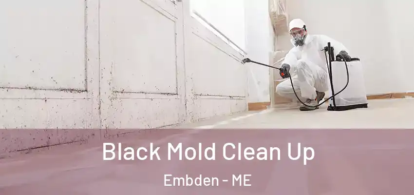 Black Mold Clean Up Embden - ME
