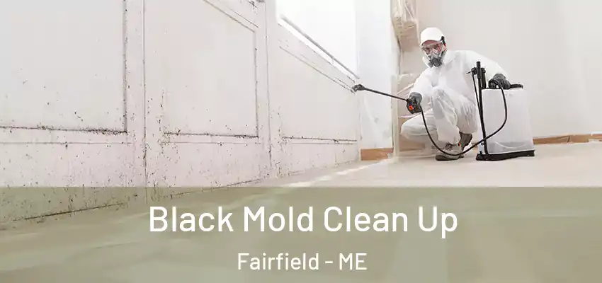  Black Mold Clean Up Fairfield - ME