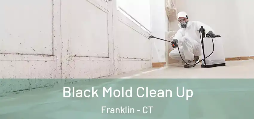 Black Mold Clean Up Franklin - CT