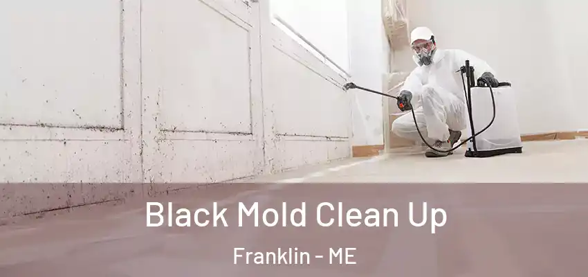  Black Mold Clean Up Franklin - ME