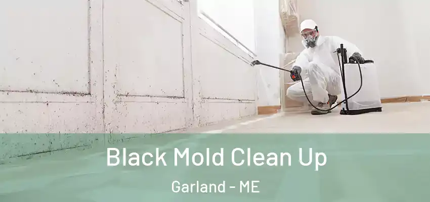 Black Mold Clean Up Garland - ME