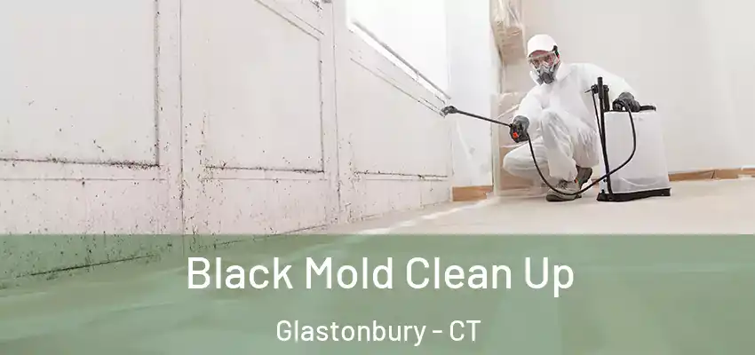  Black Mold Clean Up Glastonbury - CT