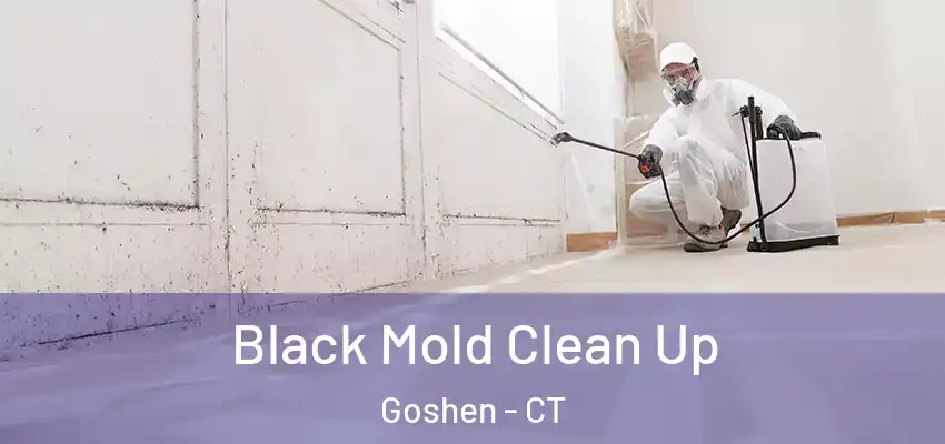Black Mold Clean Up Goshen - CT