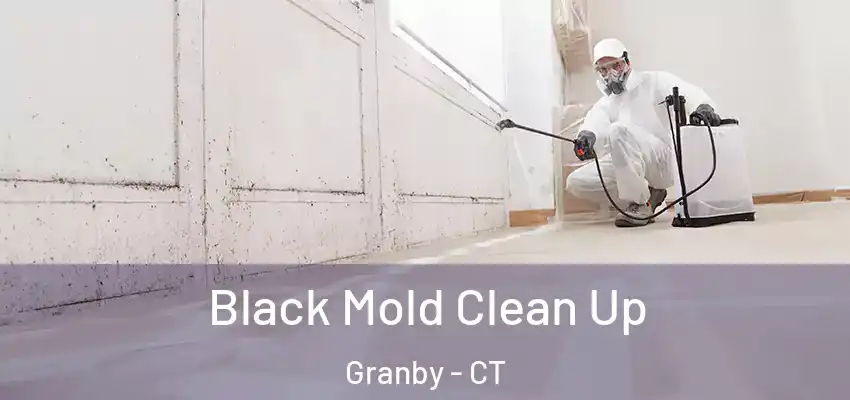 Black Mold Clean Up Granby - CT