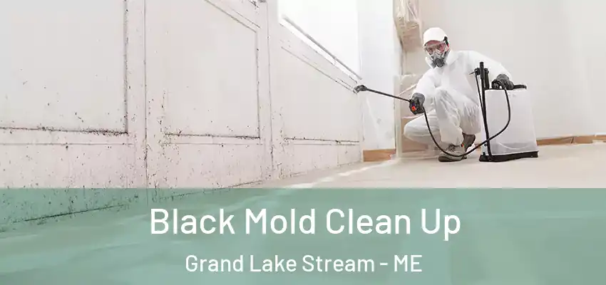  Black Mold Clean Up Grand Lake Stream - ME