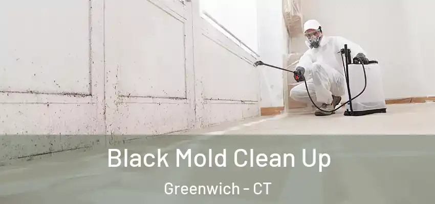  Black Mold Clean Up Greenwich - CT