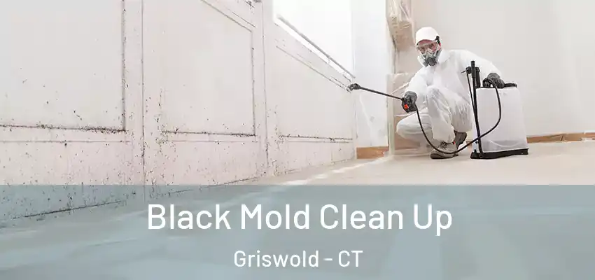 Black Mold Clean Up Griswold - CT