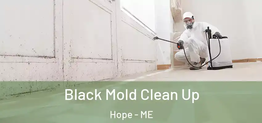  Black Mold Clean Up Hope - ME