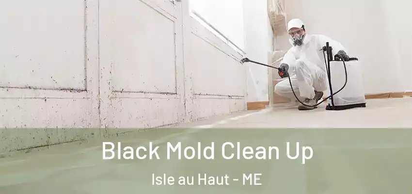  Black Mold Clean Up Isle au Haut - ME