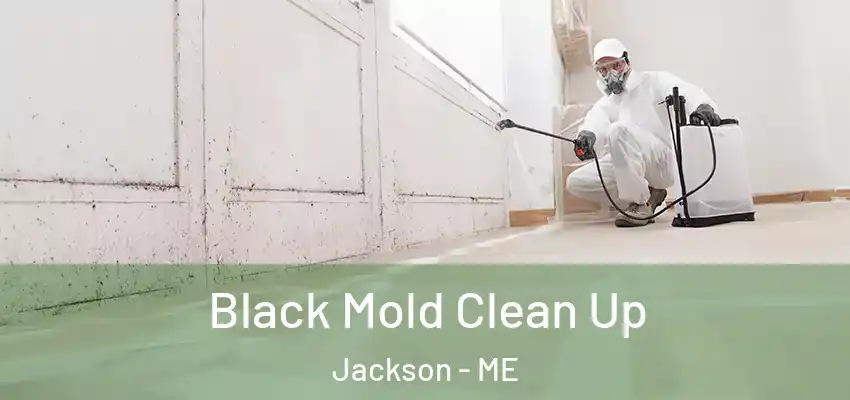 Black Mold Clean Up Jackson - ME