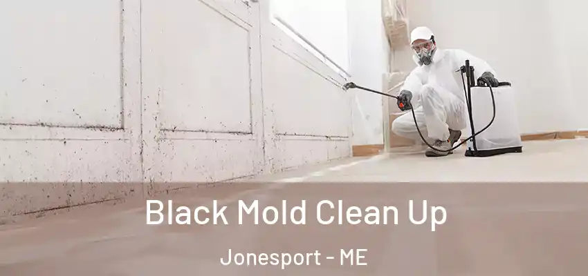 Black Mold Clean Up Jonesport - ME
