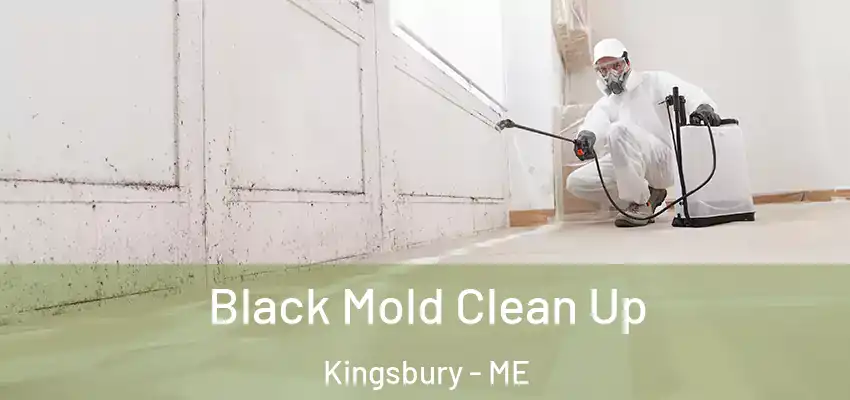 Black Mold Clean Up Kingsbury - ME