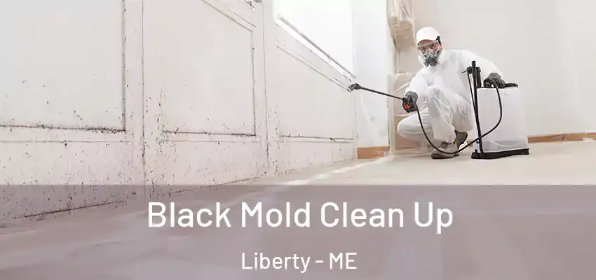 Black Mold Clean Up Liberty - ME
