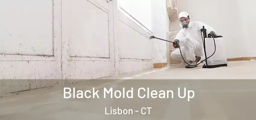 Black Mold Clean Up Lisbon - CT