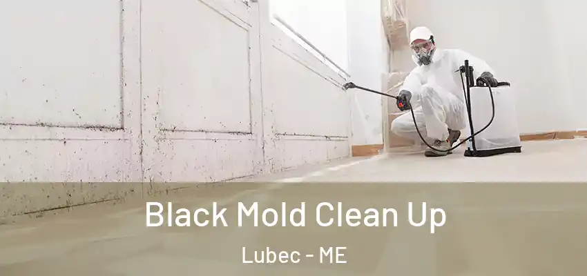  Black Mold Clean Up Lubec - ME