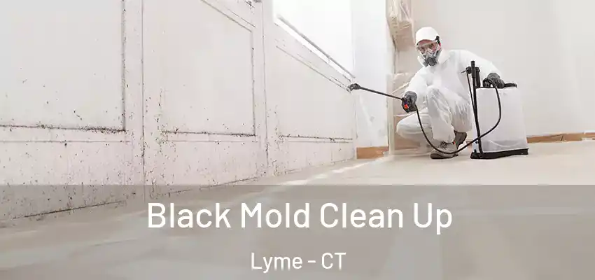 Black Mold Clean Up Lyme - CT