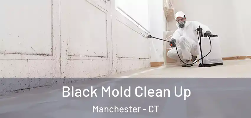 Black Mold Clean Up Manchester - CT