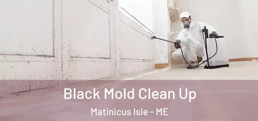 Black Mold Clean Up Matinicus Isle - ME