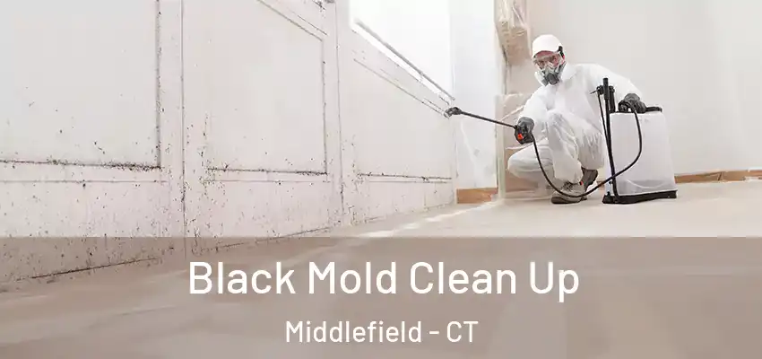  Black Mold Clean Up Middlefield - CT