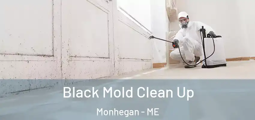  Black Mold Clean Up Monhegan - ME
