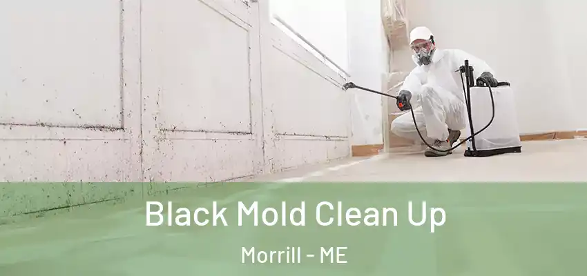 Black Mold Clean Up Morrill - ME