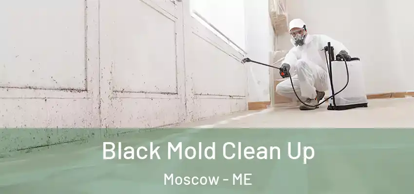  Black Mold Clean Up Moscow - ME