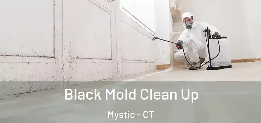 Black Mold Clean Up Mystic - CT