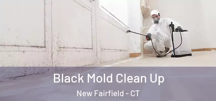  Black Mold Clean Up New Fairfield - CT