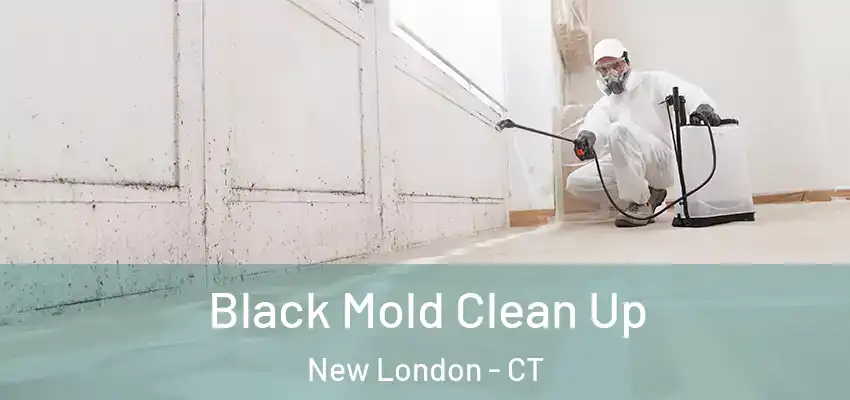  Black Mold Clean Up New London - CT