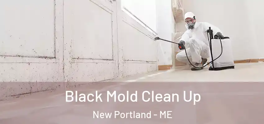  Black Mold Clean Up New Portland - ME