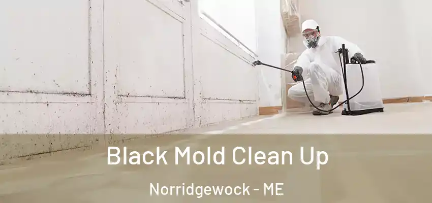  Black Mold Clean Up Norridgewock - ME