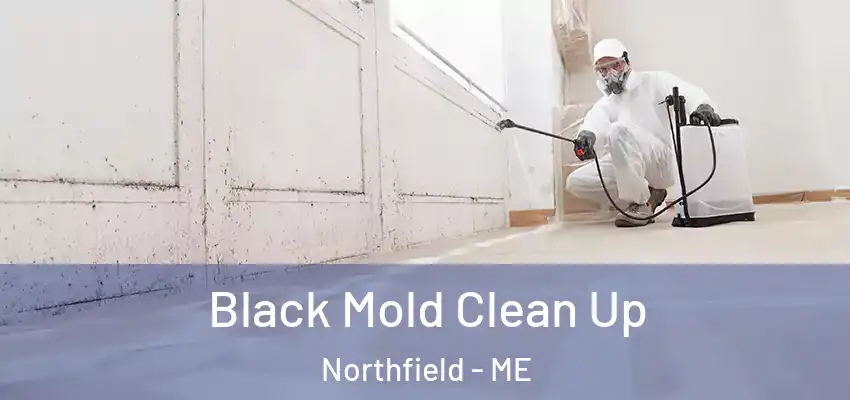 Black Mold Clean Up Northfield - ME