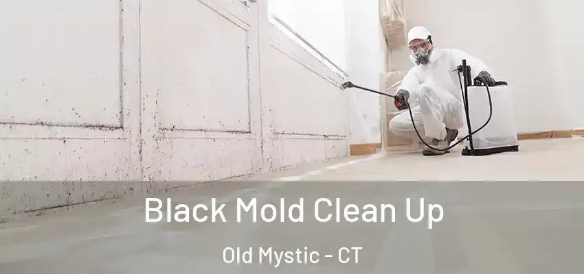 Black Mold Clean Up Old Mystic - CT