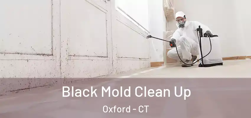 Black Mold Clean Up Oxford - CT